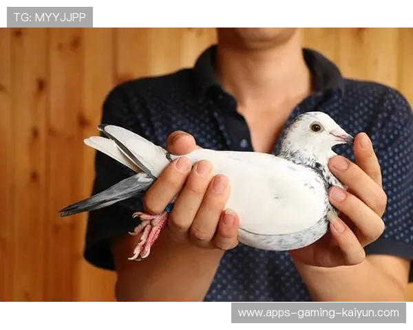 波尔多拟提高年轻人实战登场率以培养下一代核心